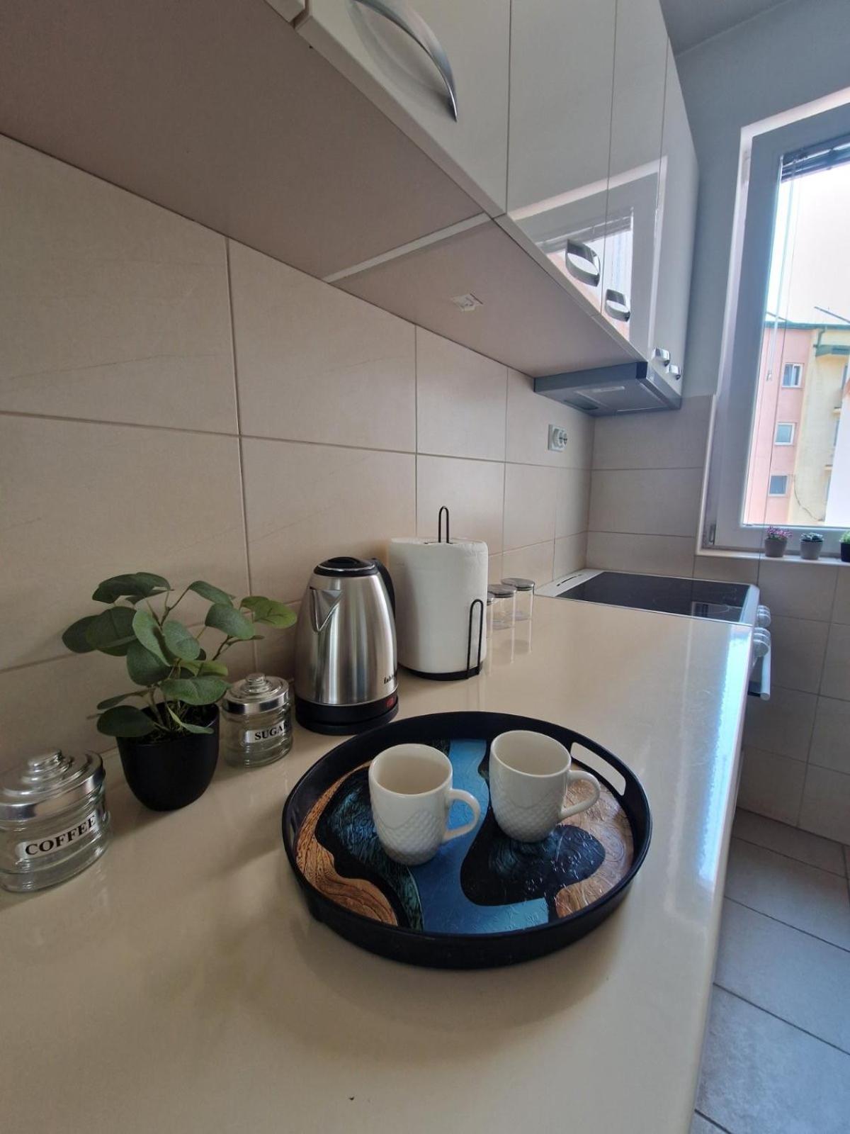 Kamche Lux Apartment スコピエ エクステリア 写真
