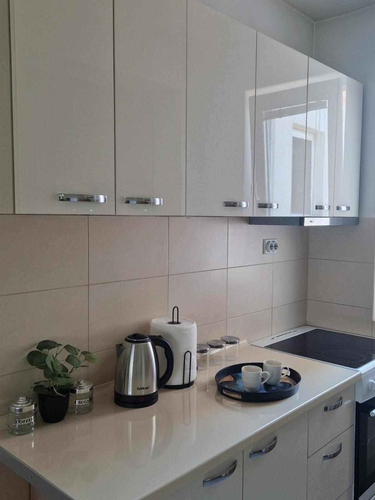 Kamche Lux Apartment スコピエ エクステリア 写真
