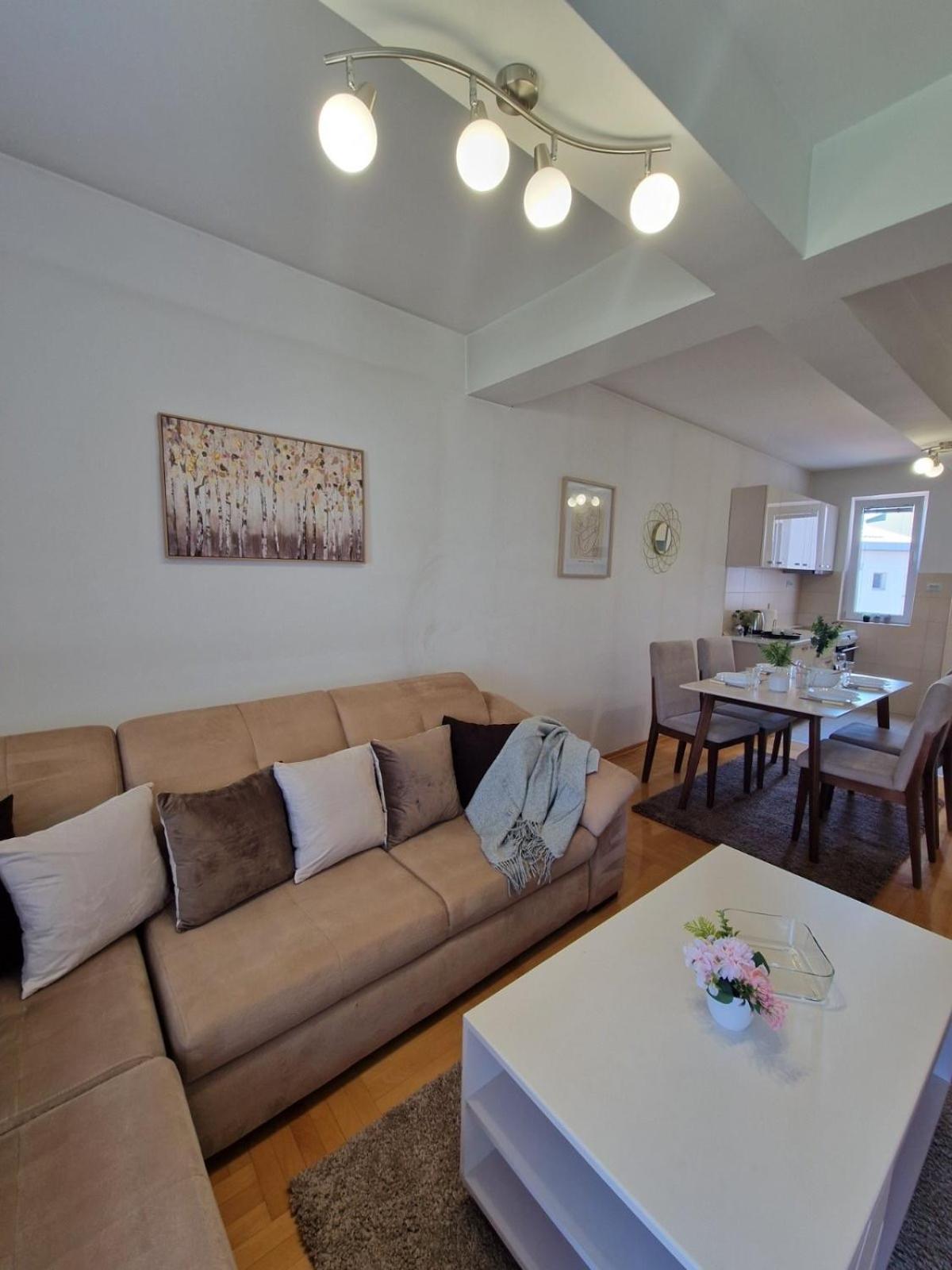 Kamche Lux Apartment スコピエ エクステリア 写真