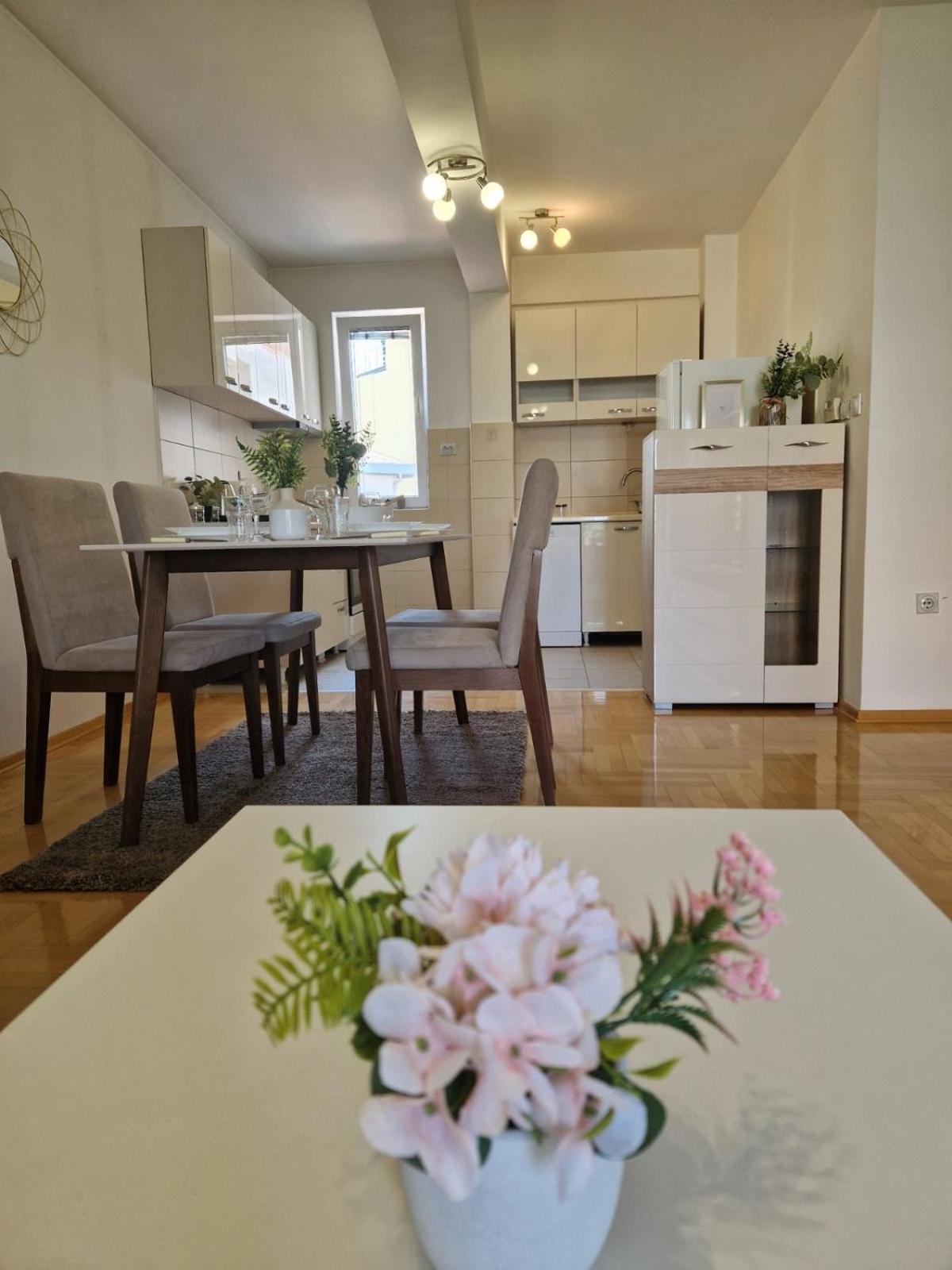 Kamche Lux Apartment スコピエ エクステリア 写真